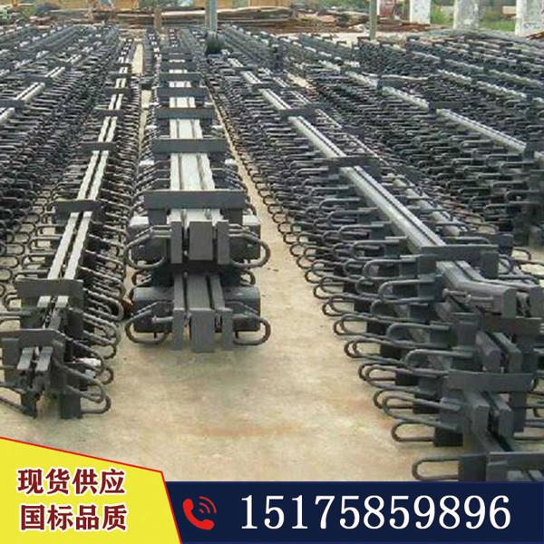 駐馬店睿智現(xiàn)貨銷售240橋梁伸縮橋梁多向變位伸縮縫 伸縮縫裝置