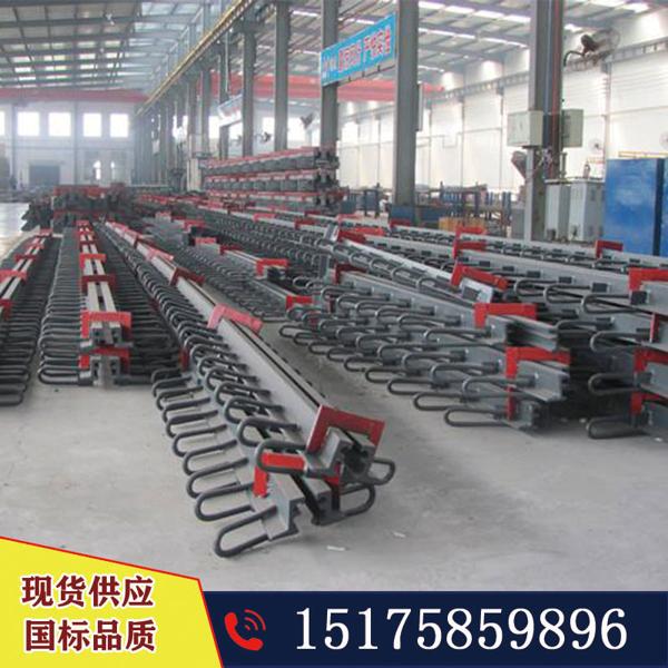 云南麗江安裝橋梁梳齒板伸縮縫SSFB160型 普通型號E40