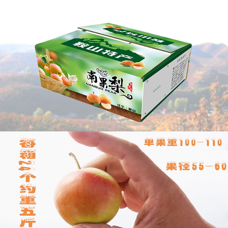 南果梨供應(yīng)，南果梨批發(fā)，南果梨價