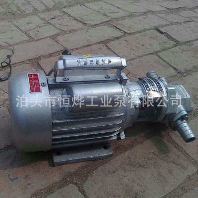 廠家供應(yīng) 手提式齒輪泵 電動(dòng)WCB-30高溫齒輪泵 齒輪油泵
