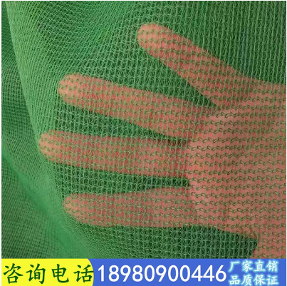 *密目網(wǎng)B2.3 *密目網(wǎng)B2.3供應(yīng) *密目網(wǎng)B2.3廠(chǎng)家 *密目網(wǎng)B2.3價(jià)格 *密目網(wǎng)B2.3哪里有