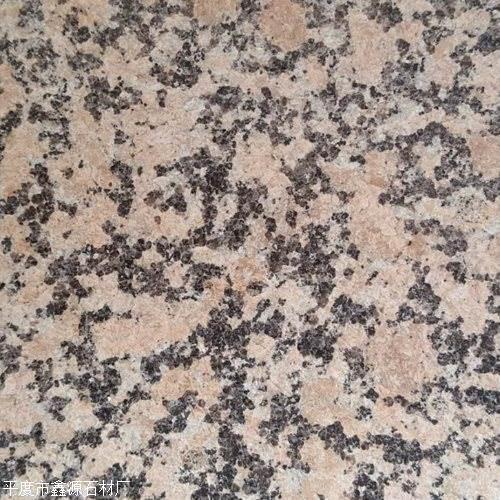 山東櫻花紅價格