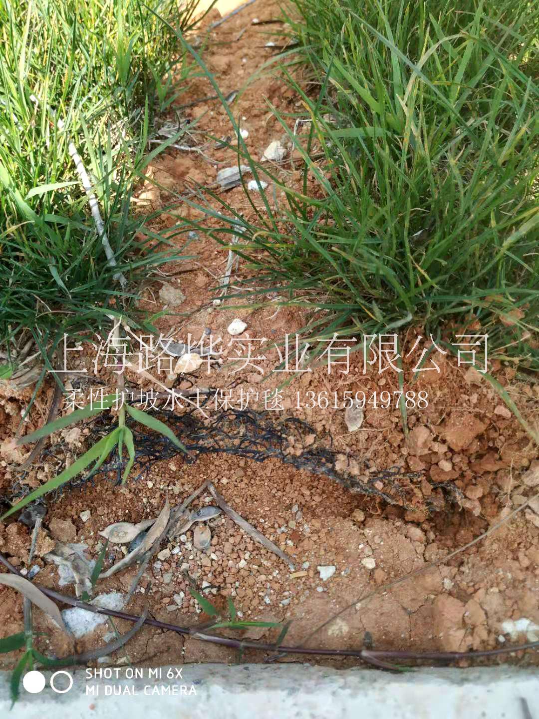 漳州市水土保護(hù)毯 漳州市水系生態(tài)治理柔性護(hù)坡 進(jìn)口標(biāo)準(zhǔn)