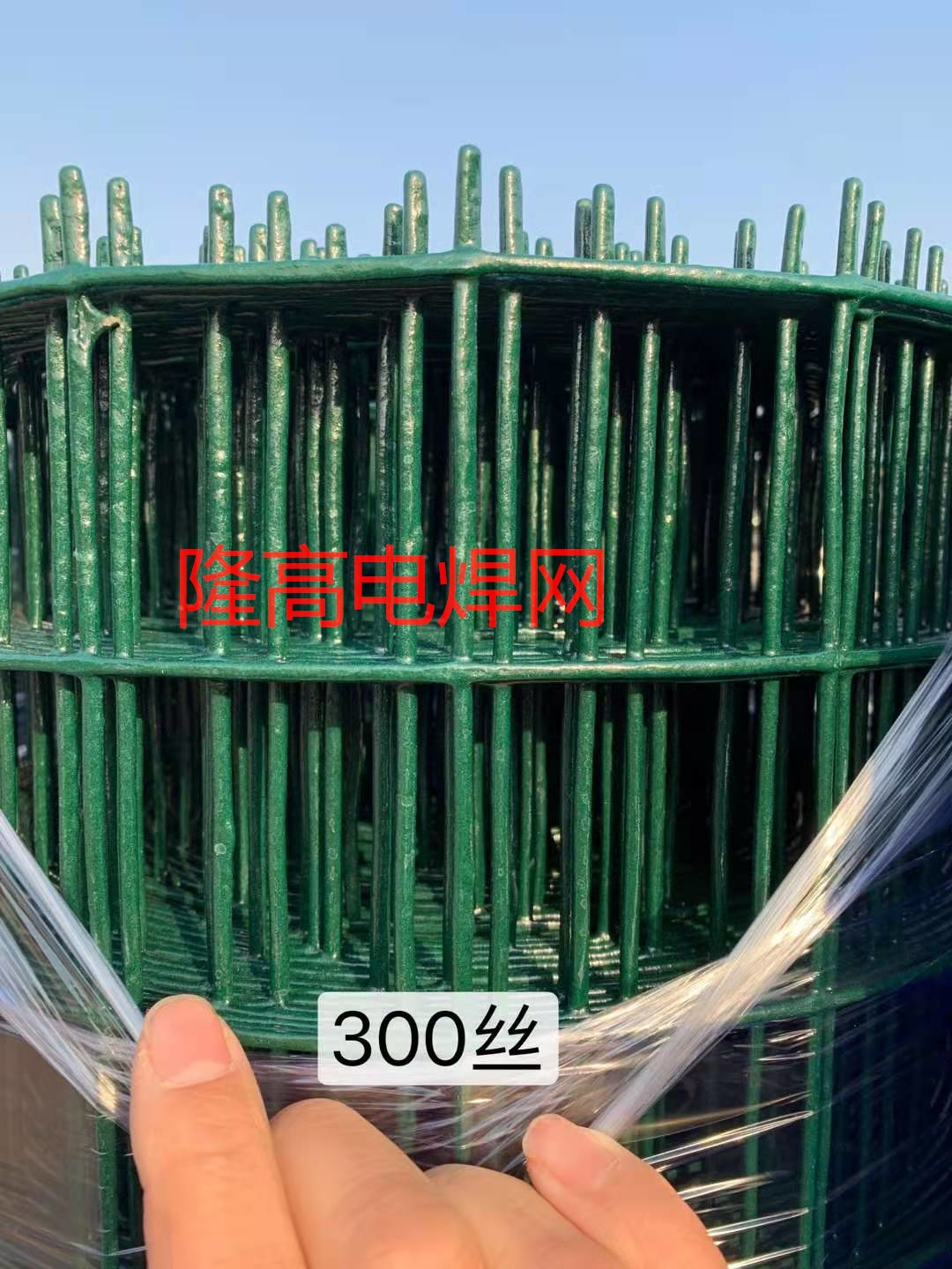 隆高供應(yīng)養(yǎng)殖荷蘭網(wǎng) 養(yǎng)雞網(wǎng)圍欄 圈山防護 綠色鐵絲網(wǎng)