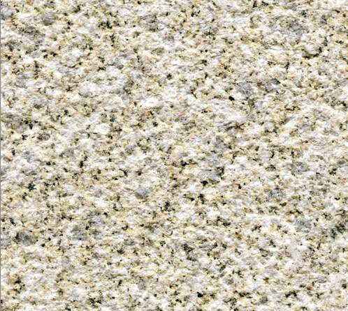 中黃荔枝面批發(fā)價格