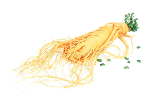 人參牡蠣壓片糖果加工片劑食品加工