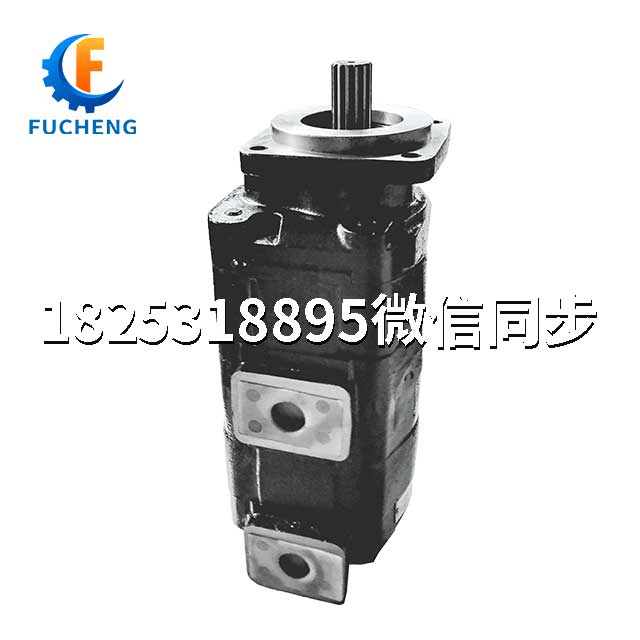 鑄鐵高壓防爆齒輪泵P365A598 油田* 原廠供應(yīng)