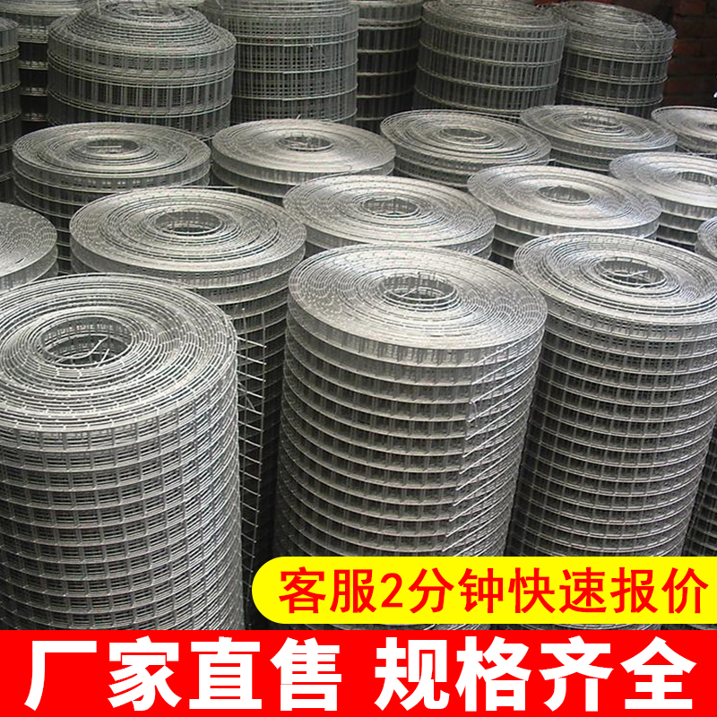 廠(chǎng)家直批電焊網(wǎng)小孔金蟲(chóng)鍍鋅鐵絲網(wǎng)圍欄養(yǎng)殖網(wǎng)