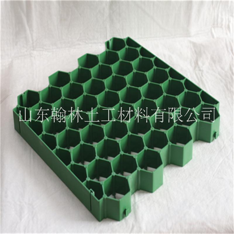植草格人行道綠化用塑料植草格可加工定制植草格消防道用植草格