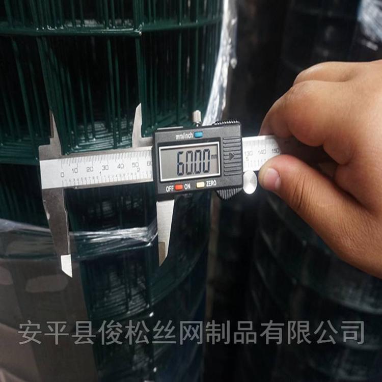 唐山圍墻防護網(wǎng) 圍墻護欄網(wǎng)生產(chǎn)廠家  邊坡防護網(wǎng) 綠色包膠鐵絲網(wǎng)美觀