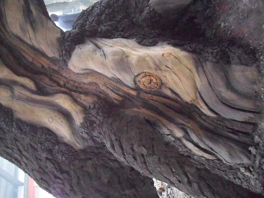 安徽蒙城潤果生態(tài)園聯(lián)系方式