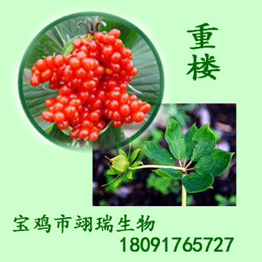 薯蕷皂苷；重樓皂苷III 98%Dioscin CAS：19057-60-4