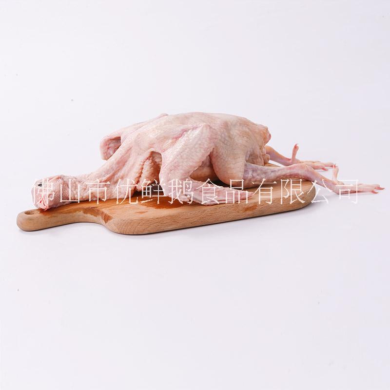 現(xiàn)貨* 肉鴿乳鴿價(jià)格   肉鴿乳鴿聯(lián)系方式