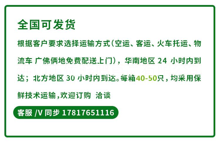 庵雞現(xiàn)殺走地雞散養(yǎng)雞廠家直發(fā)  散養(yǎng)雞廠家批發(fā)