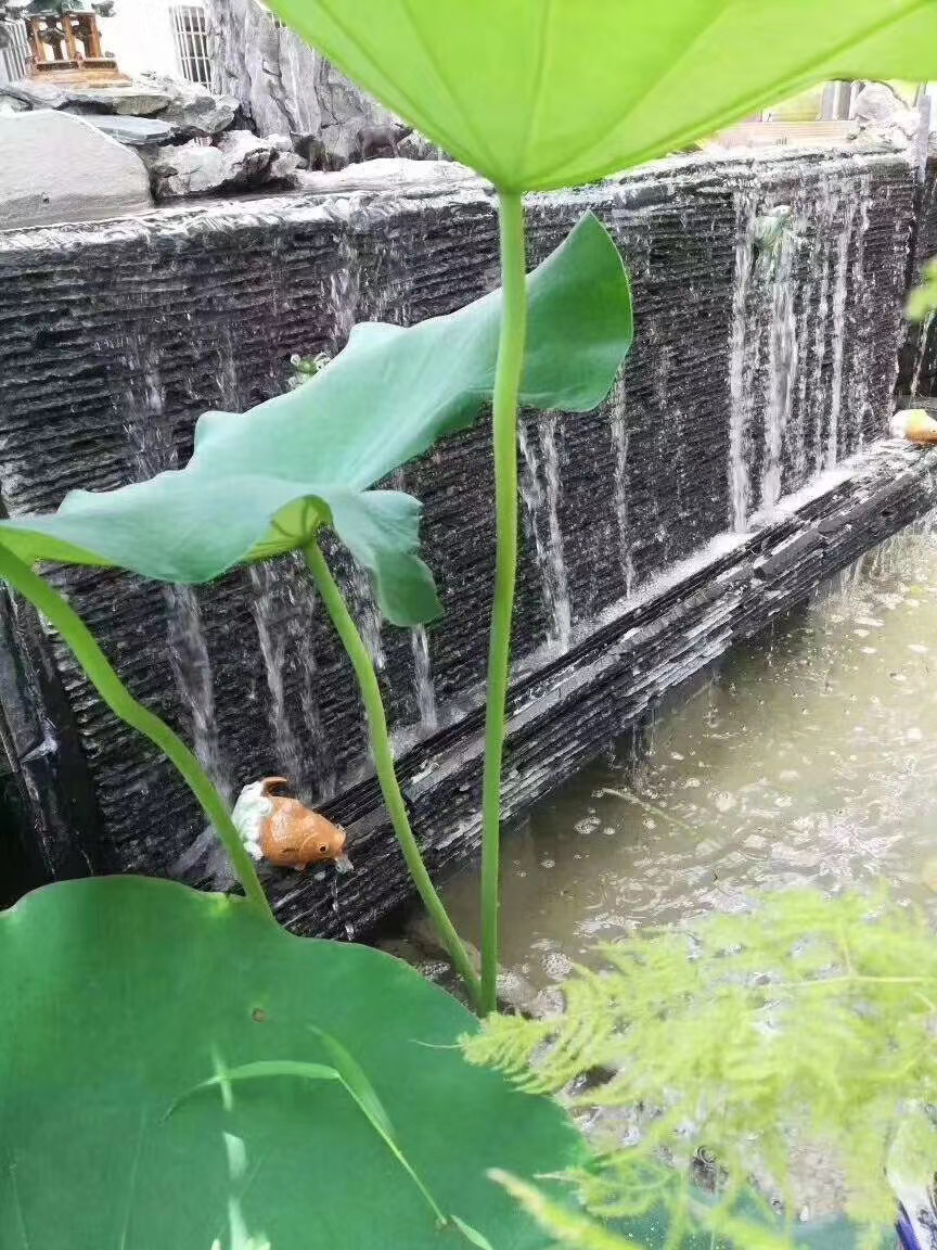 流水石廠家價格 廠家批發(fā)實惠