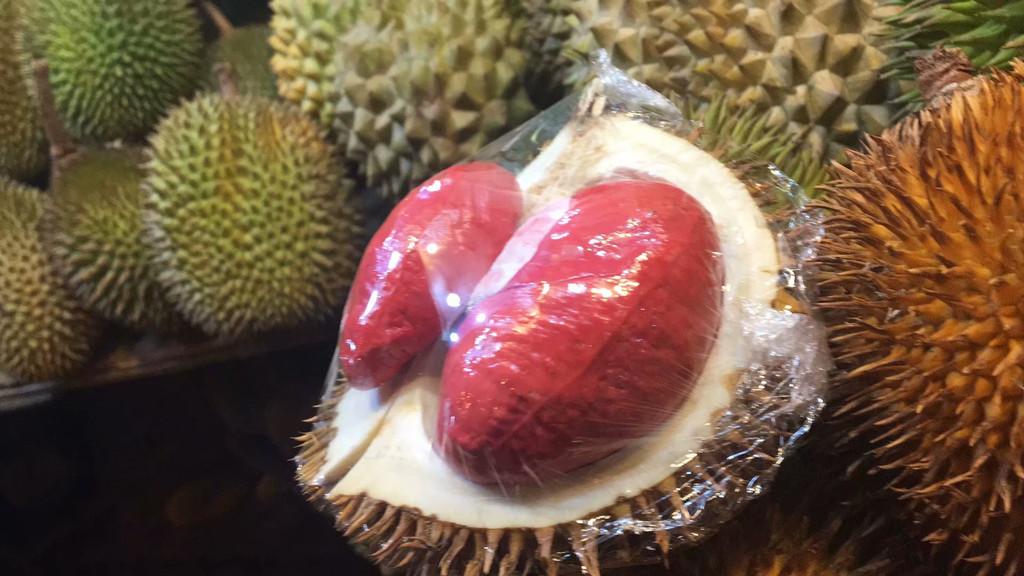 紅肉榴蓮苗供應(yīng)商  紅肉榴蓮苗哪家好