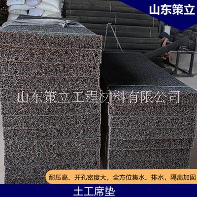 網(wǎng)狀交織排水板、1cm土工席墊專業(yè)定制質(zhì)優(yōu)價廉 滲排水土工席墊