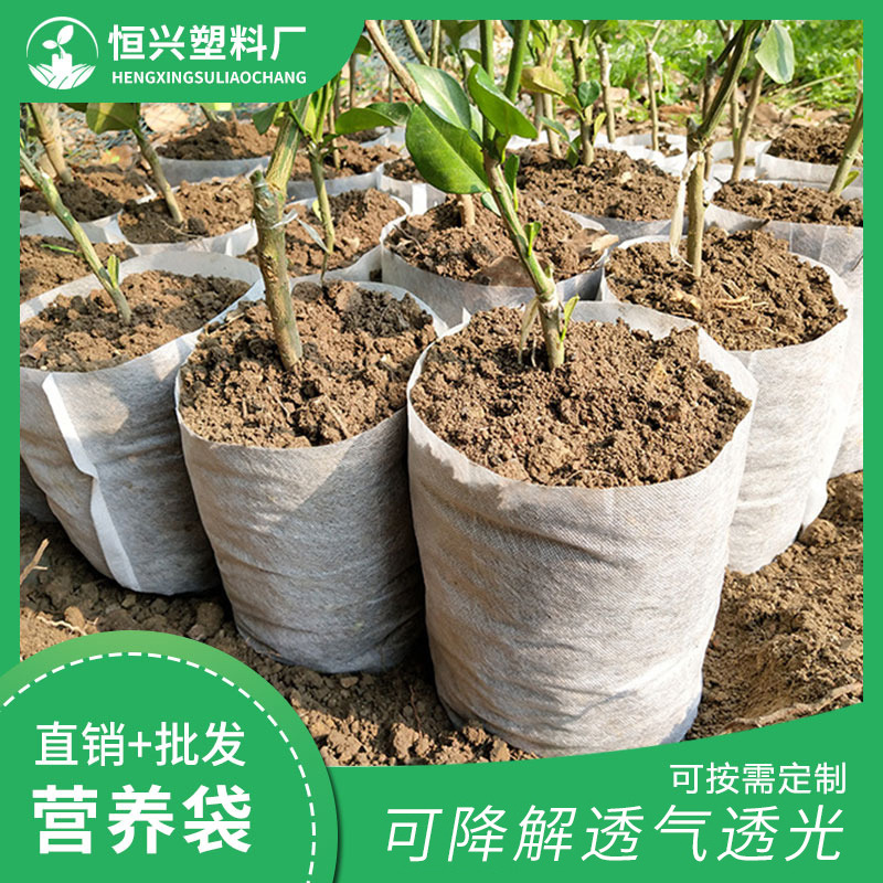無紡布營養(yǎng)杯廠家 無紡布營養(yǎng)杯價(jià)格 無紡布營養(yǎng)杯批發(fā)