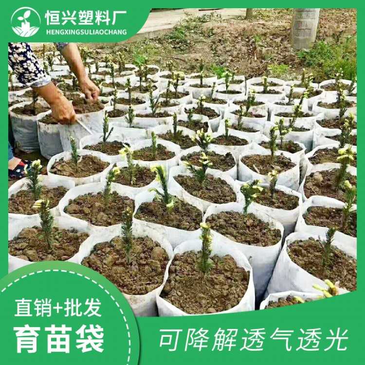 無(wú)紡布育苗袋哪家好 無(wú)紡布育苗袋價(jià)格 無(wú)紡布育苗袋廠家