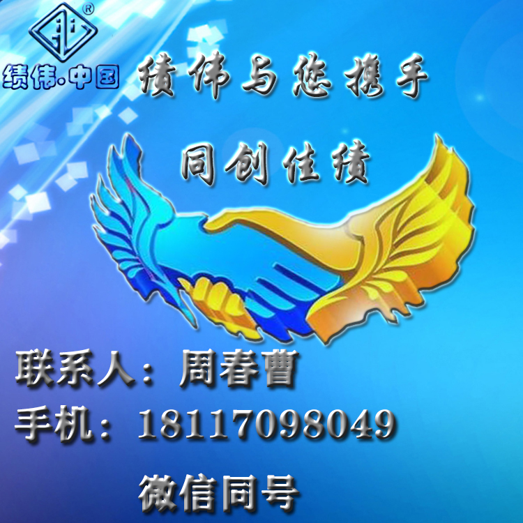 意大利 績偉AGM*式讀頭