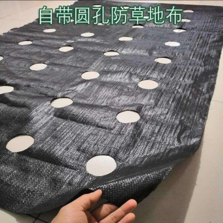 防草布多少錢一米