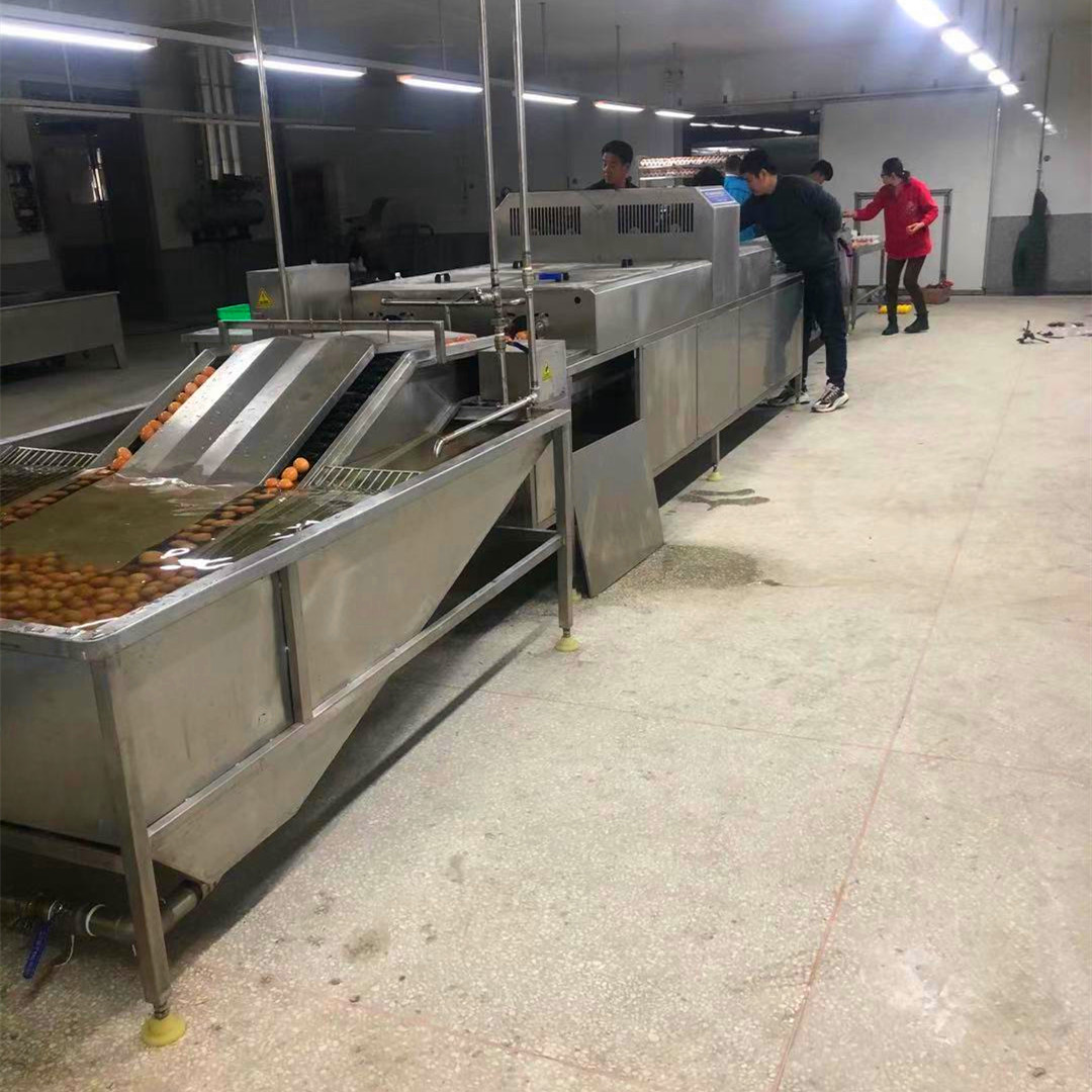 雙排雞鴨蛋清洗機 泥蛋自動清洗機 商用潔蛋設(shè)備