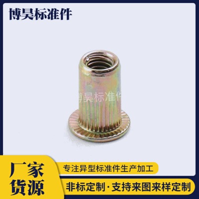 彩鋅拉鉚螺母 拉鉚螺帽 平頭拉鉚螺母 小沉頭拉鉚螺母 多規(guī)格
