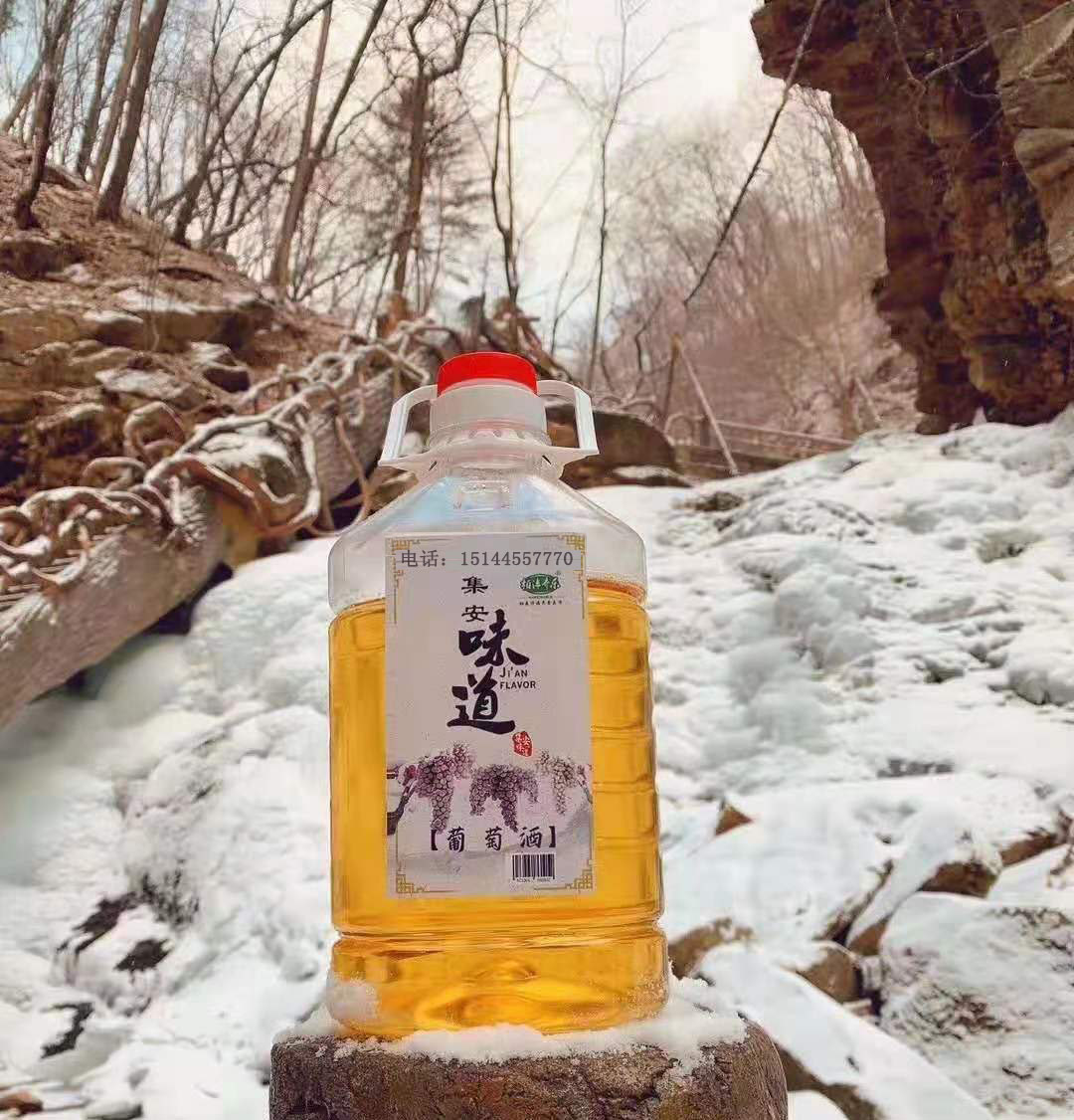 冰葡萄苗 威代爾葡萄苗 威 冰葡萄苗 威代爾葡萄苗 威代爾冰葡萄苗 生財有道冰葡萄苗代爾