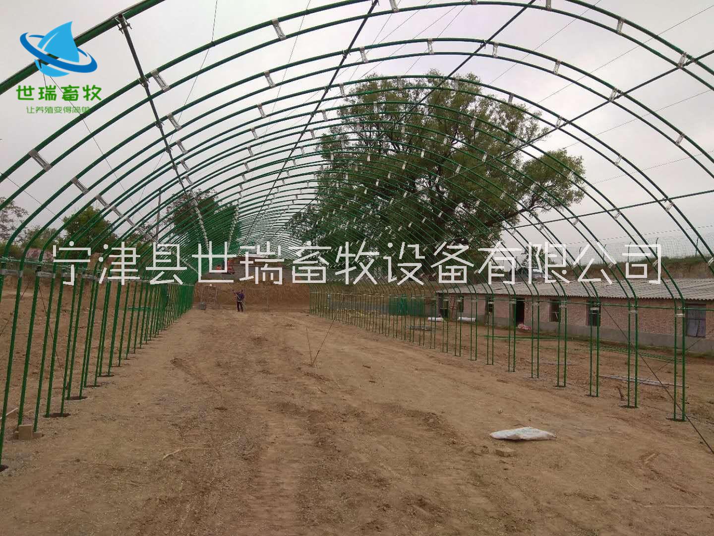 養(yǎng)牛大棚建設(shè) 搭建養(yǎng)牛棚補(bǔ)貼 牛舍價(jià)格