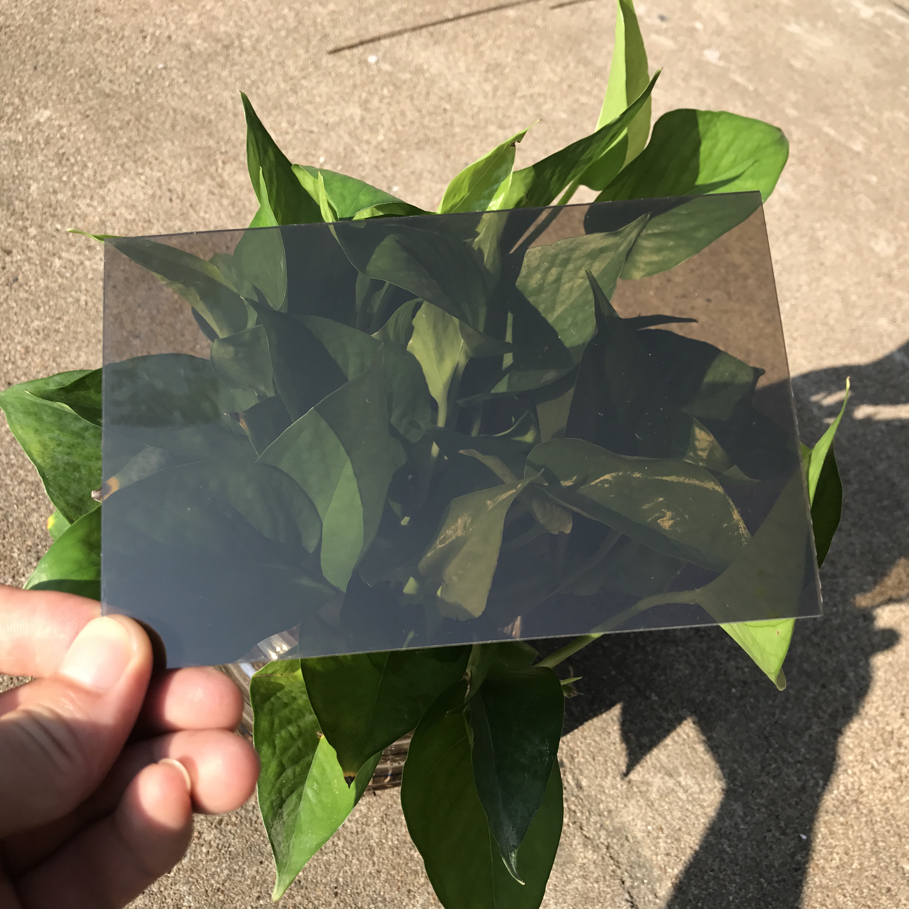 茶色耐力板多少錢  茶色耐力板廠家報價