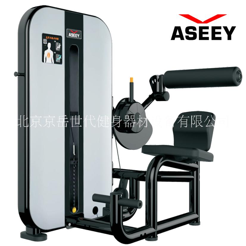 艾勝（ASEEY）背肌訓(xùn)練器 艾勝V608訓(xùn)練腰方肌、骶棘肌
