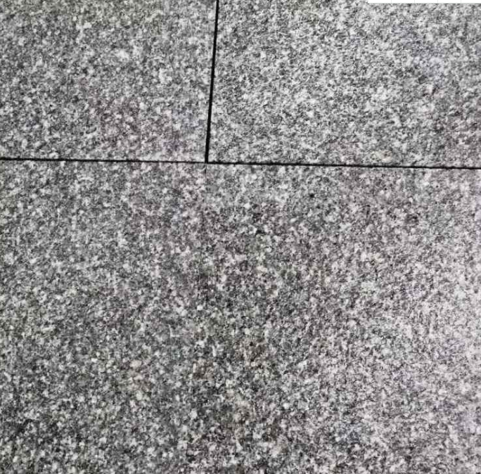 福建芝麻黑654報(bào)價(jià)