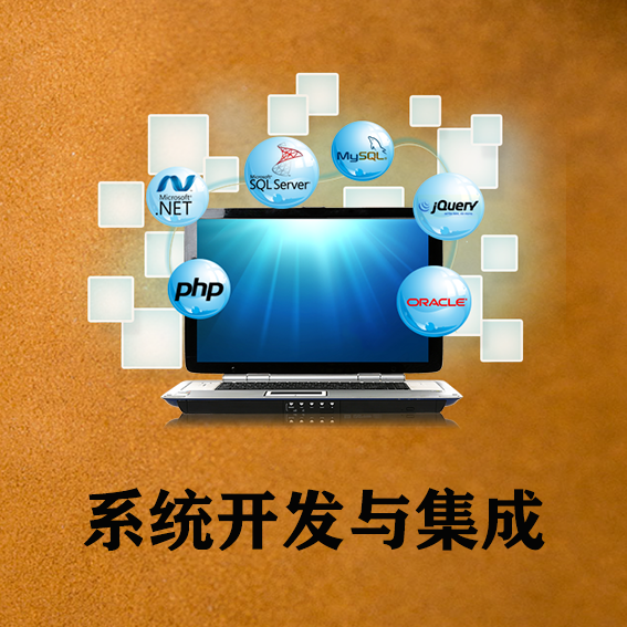 鄭州系統(tǒng)開發(fā)與集成