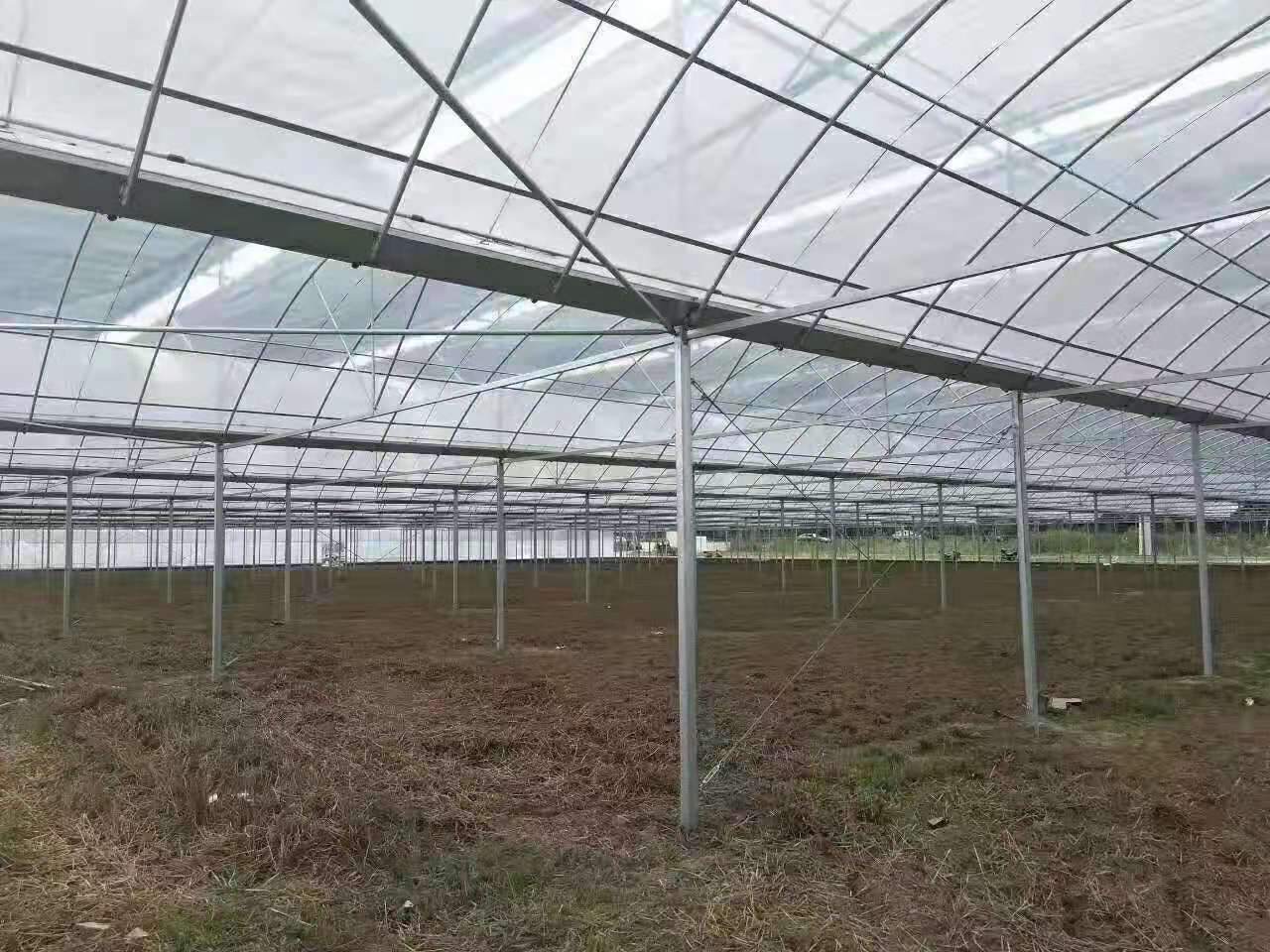 溫室大棚 薄膜連棟溫室大棚 溫室大棚 薄膜連棟溫室大棚