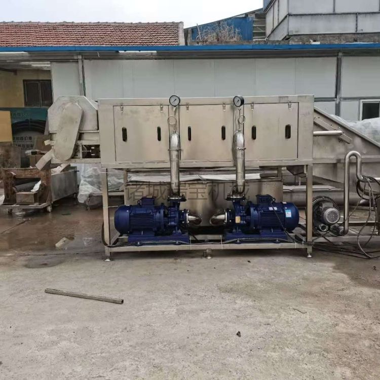 姜母清洗機(jī) 瑞寶 XJ-6000型鮮姜清洗機(jī)  帶輸送機(jī)洗姜機(jī)