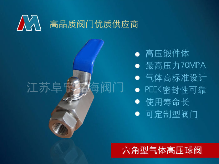 Q11N 天然氣六角高壓球閥 不銹鋼內(nèi)螺紋球閥