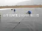膨潤(rùn)土防水毯廠家 HDPE防水板廠家 EVA防水板廠家
