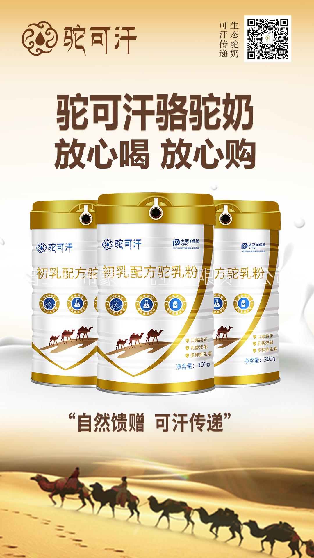 駱駝奶 駱駝奶粉 駱駝奶粉內蒙產(chǎn)
