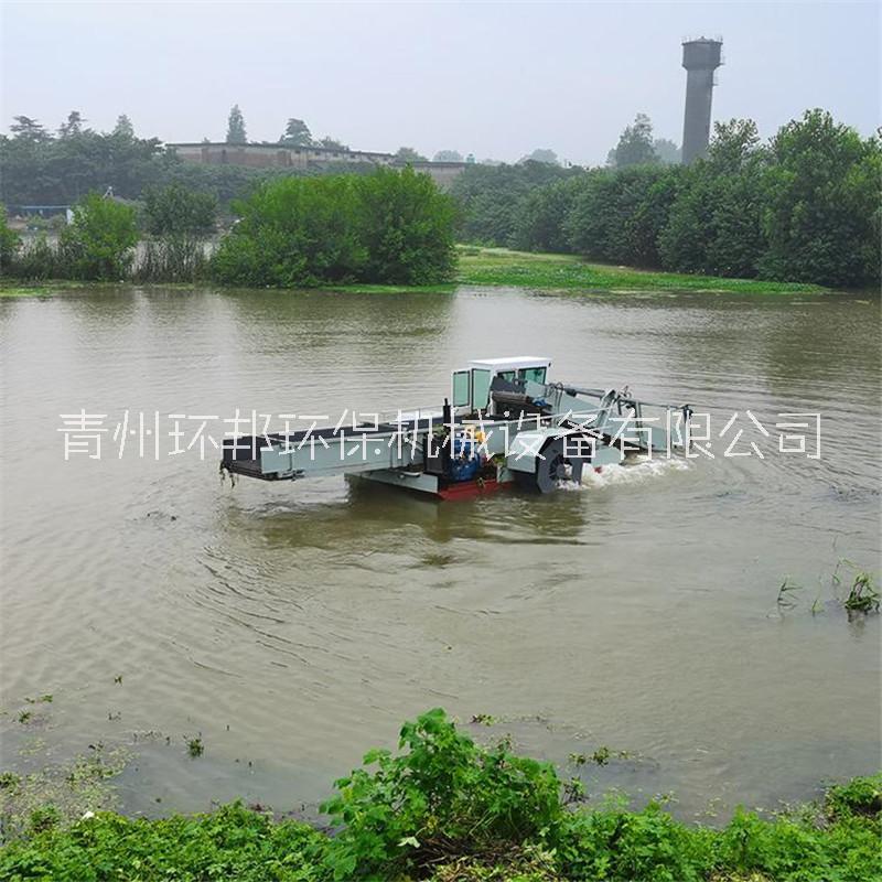 廠家供應青海小型割草船 自動苲草清理船 河道清漂船