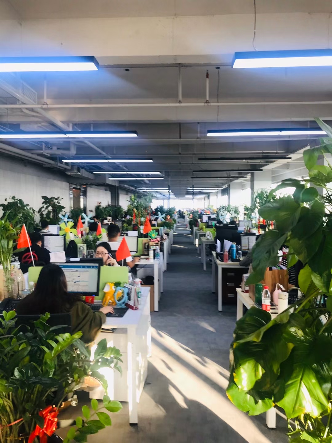 圖可數(shù)據(jù)公司到底怎么樣 圖可數(shù)據(jù)公司到底有效果嗎