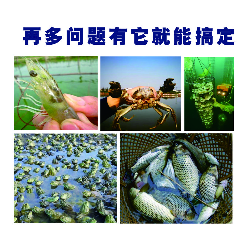 池塘里青苔水處理方案 池塘青苔