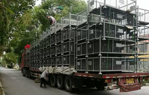 寧波到常州物流公司 寧波到常州物流專線 寧波到無錫物流公司 寧波到常熟物流公司 寧波到太倉物流公司