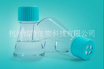 NEST錐形搖瓶125ml250ml500ml1000ml2000ml3000ml5000ml