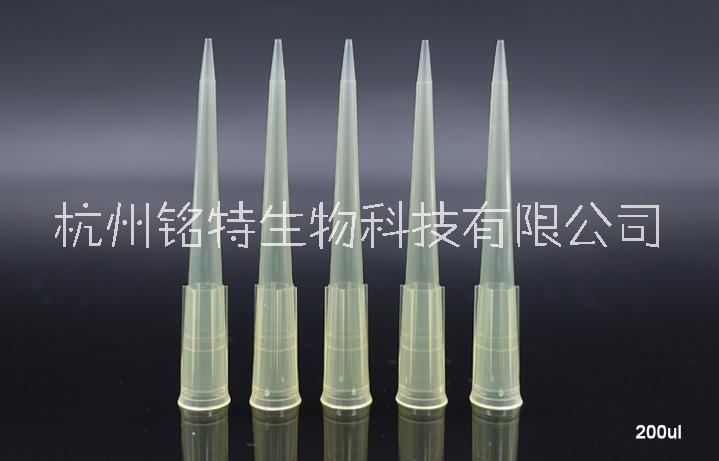 NEST移液器吸頭10ul200ul300ul1000ul1250ul