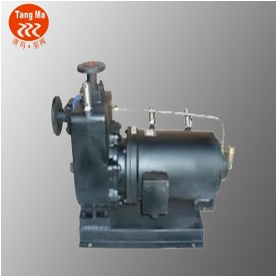 上海PBZX自吸臥式屏蔽泵廠家銷售、價格實惠、廠家定制【上海唐瑪泵閥有限公司】