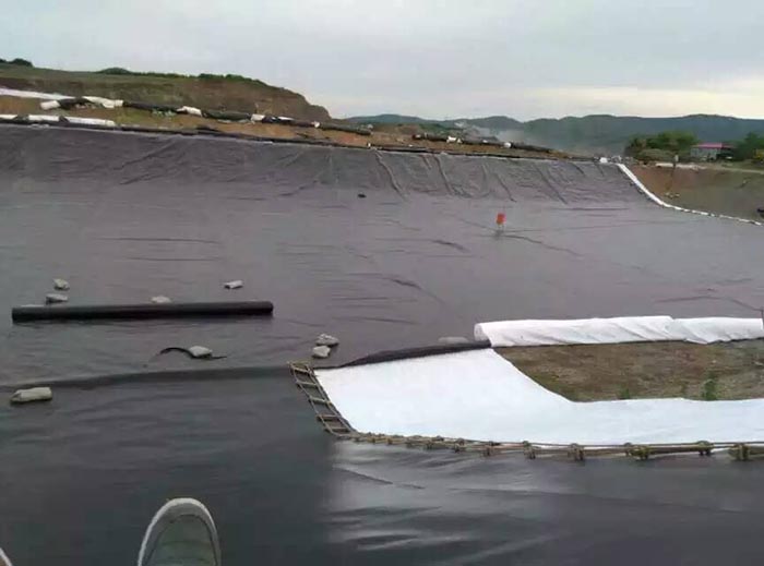 供應垃圾場用pe土工膜廠家批發(fā)價格、垃圾場用pe土工膜質量哪家好
