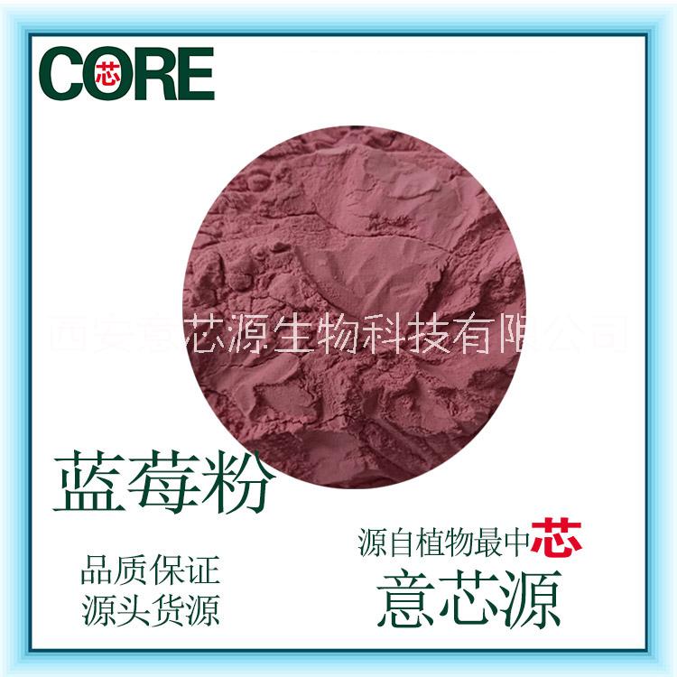 藍莓粉果蔬粉現貨 藍莓粉果粉現貨廠家