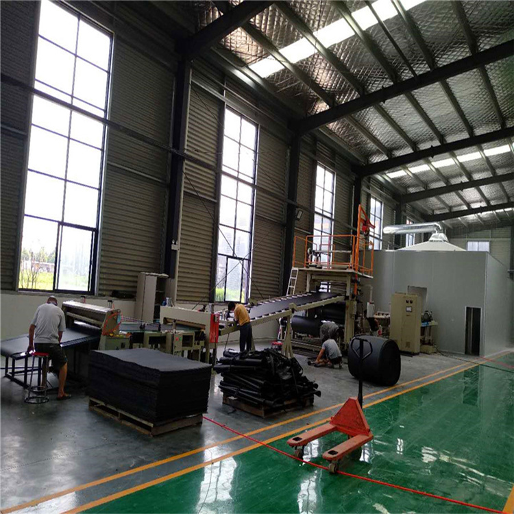 丁基阻尼防水卷材片材擠出機(jī)廠商