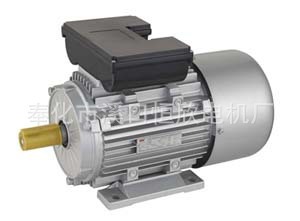 單相220V雙值電容異步電機 微電機 雙值電容異步電機單價