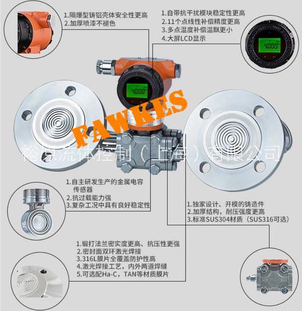 進(jìn)口雙法蘭液位變送器 防爆型雙法蘭液位變送器 316L防腐型液位變送器